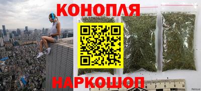шишки Конаково