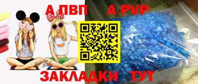 шишки Конаково