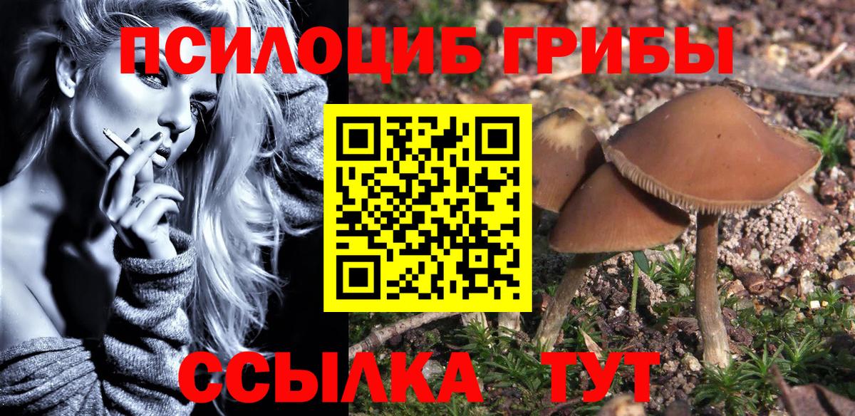 Псилоцибиновые грибы Psilocybine cubensis  Вход с VPN  Галлюциногенные грибы мухоморы  Кимовск 